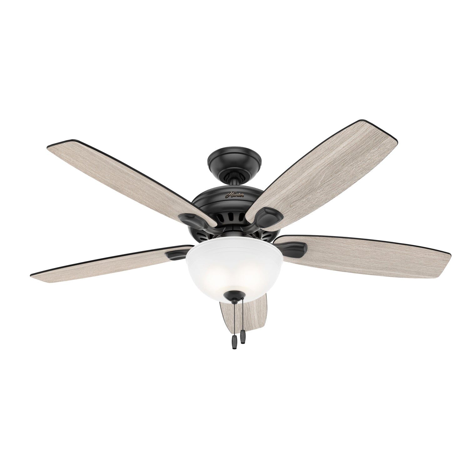 Hunter cheapest ceiling fan