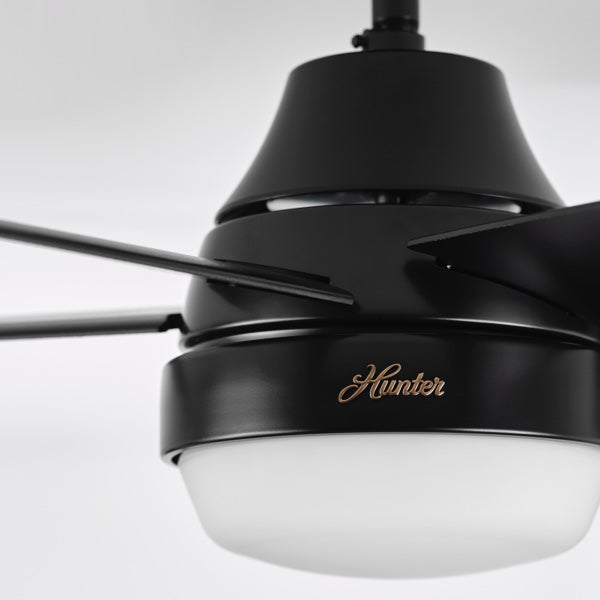 Hunter Fan Smart Ceiling Fan