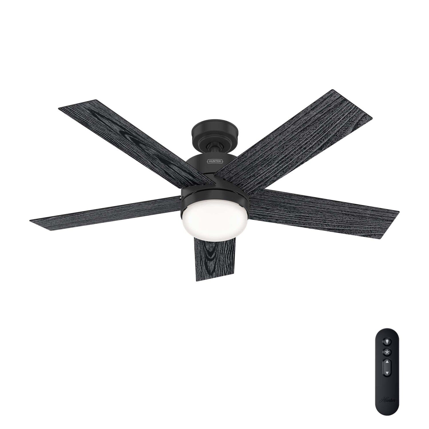 Hunter alexa ceiling deals fan