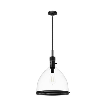 Van Nuys 1 Light Pendant 16 inch Lighting Hunter Matte Black - Clear 